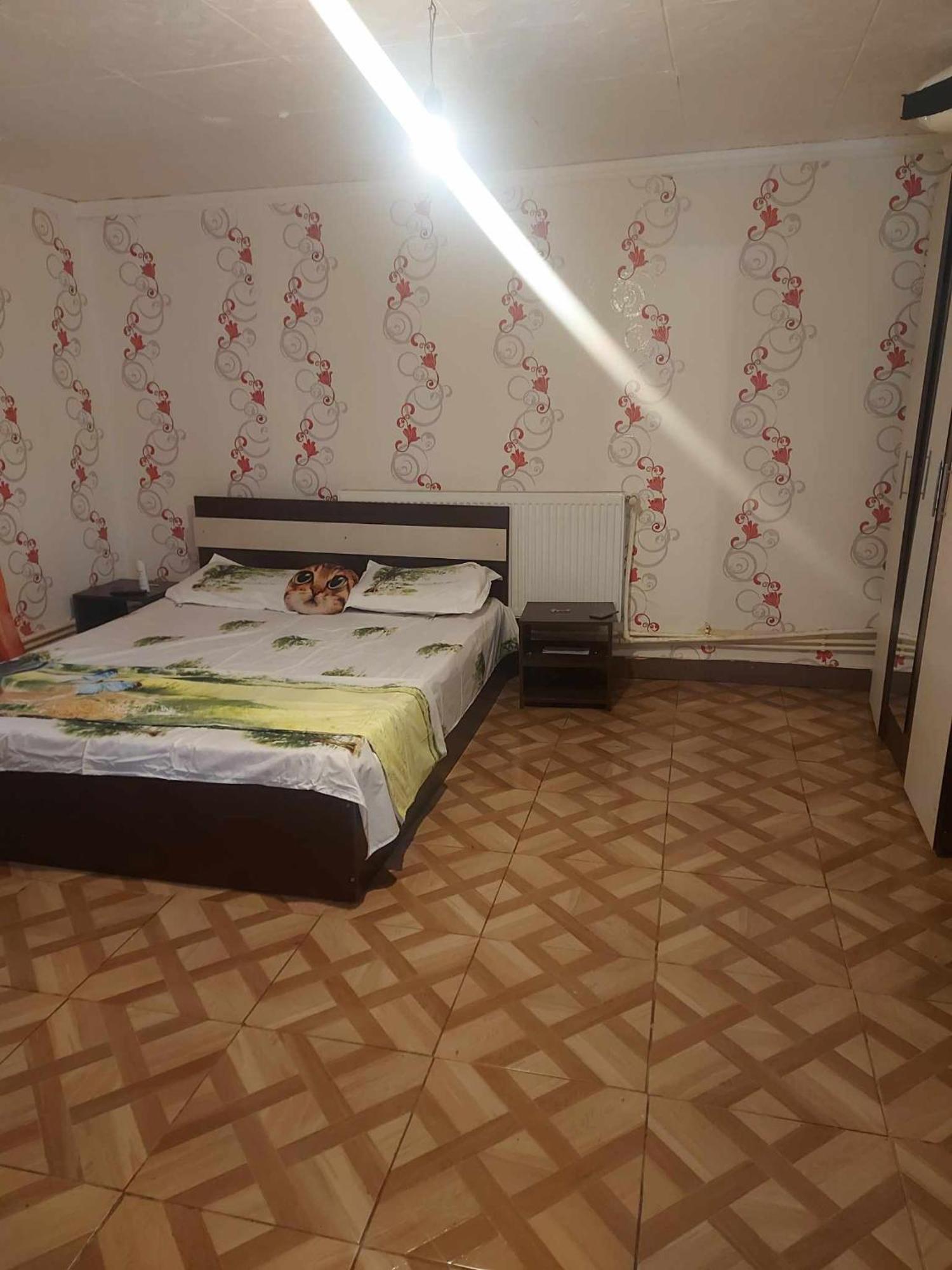 Camelia Hotel Eforie Nord Buitenkant foto