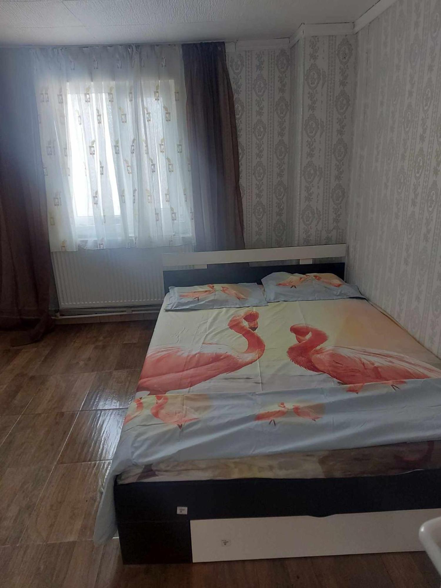 Camelia Hotel Eforie Nord Buitenkant foto